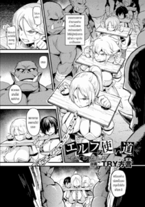 [TRY Hougen] Elf no Tsukaimichi