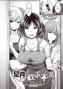พี่น้องไม่เคยพอ [Hirama Hirokazu] Mochi tsuki sanchi wa yokkyu fuman