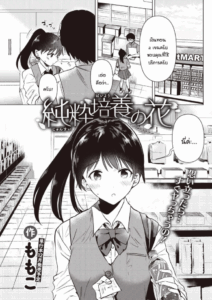 ดอกไม้บริสุทธิ์สีขาว [Momoko] Junsuibaiyou no hana